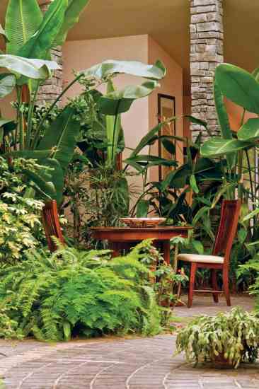 Stu and Trina's dining room table is surrounded by growing plants, some of which make their way into the dishes they prepare.